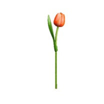 Wooden Tulip (each) - Dutchy's European Market