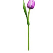 Wooden Tulip (each) - Dutchy's European Market